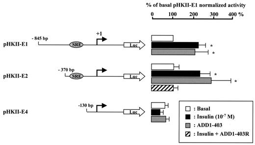 FIG. 8. Ectopic expression of ADD1 activates the promoter of the HKII gene in human muscle cells. Human skeletal muscle cells were cotransfected with HKII promoter-luciferase (Luc) reporter gene constructs and either the mature form (ADD1-403) or a dominant-negative form (ADD1-403R) of ADD1/SREBP-1c. ADD1-403 mimicked insulin, whereas ADD1-403R blocked insulin action. Data are expressed in terms of the basal luciferase activity of pHKII-E1 and are presented as the means ± SE for three different transfection experiments. *P < 0.05 in the presence of insulin or ADD1-403 versus in the absence of insulin using a paired t test.
