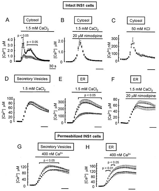FIG. 4. Measurements of organelle free Ca2+ in PMR1-depleted cells. PMR1 siRNA-transfected (♦) or control scrambled siRNA-transfected (□) INS1 cells were infected with Cyt.Aq-encoding (A–C), VAMP.Aq-encoding (D and G), or ER.Aq-encoding (E, F, and H) adenoviruses 24 h after siRNA transfection. A, B, and D–H: After a further 24 h, cells were depleted of Ca2+, the aequorin reconstituted in Ca2+-free KRBB, and then cells were perifused with KRBB supplemented with 1 mmol/l EGTA. In intact cells, 1 mmol/l EGTA was replaced with 1.5 mmol/l CaCl2 where indicated. G and H: Cells were permeabilized with 20 μmol/l digitonin in intracellular buffer containing 1 mmol/l EGTA (free [Ca2+] <1 nmol/l) and then, where indicated, free [Ca2+] was increased to 400 nmol/l using an EGTA-buffered Ca2+ solution. C: At 24 h after adenoviral infection, cells were reconstituted with coelenterazine in KRBB containing 1.5 mmol/l CaCl2. Cells were perifused in the same medium before stimulation with 50 mmol/l KCl. In all experiments, cells were finally lysed in hypotonic medium containing 100 μmol/l digitonin and 10 mmol/l CaCl2. In all cases, data are the means of four separate experiments.