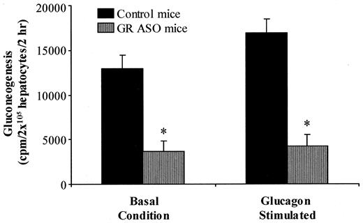 FIG. 4. Effect of GR-ASO on hepatocyte gluconeogenesis. Female db/db mice were treated with GR-ASO or control ASO for 3 weeks. Hepatocytes were isolated from each mouse. Gluconeogenesis was measured as indicated in research design and methods. Data represent means ± SE for four hepatocyte preparations per each group. *P < 0.05, control vs. treated group at the same condition.