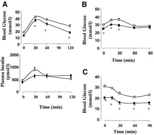 FIG. 5. Effect of GR-ASO treatment on db/db mice. Female db/db mice were treated with GR-ASO (•) or control ASO (○) for 3 weeks and then subjected to an oral glucose tolerance test (A), glucagon challenge test (B), or insulin tolerance test (C). Tail blood samples were collected at different time points to measure blood glucose and plasma insulin as described in research design and methods. Data represent means ± SE for eight mice per each group. *P < 0.05, control vs. treated group at the same time points.