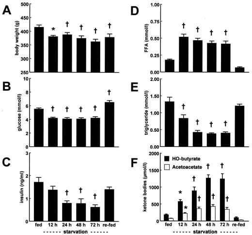 FIG. 1. Representative values for body weight (A), blood glucose (B), insulin (C), FFAs (D), triglycerides (E), and ketone bodies (HO-butyrate, acetoacetate) (F) during fed; 12,- 24-, 48-, 72-h fasted; and refed conditions in male Wistar rats. All values are from one group of animals (IMCL-group; ANOVA for repeated measures) except the 12-h values; they were from a separate group on a reverse light-dark cycle (ANOVA). Values are means ± SE (n = 8). *P < 0.05, †P < 0.001 vs. fed condition.