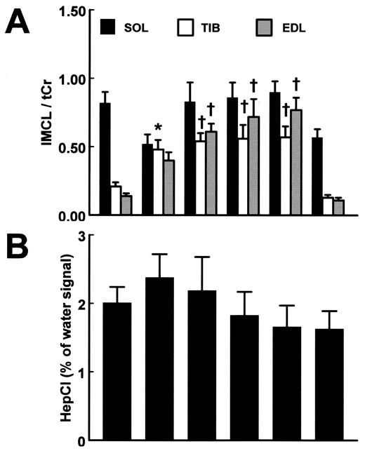 FIG. 3. IMCL contents of soleus (SOL), tibialis anterior (TIB), and EDL muscles (A) and HepCLs (B) during fed; 12-, 24-, 48-, and 72-h fasted; and refed conditions in male Wistar rats. All values are from one group (A: IMCL-group; B: HepCL-group; ANOVA for repeated measures) except the 12-h values in A and B; they were from separate groups on a reverse light-dark cycle (ANOVA). Values are means ± SE (n = 8). *P < 0.05, †P < 0.001 vs. fed condition.