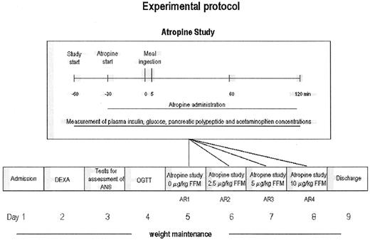 FIG. 1. Study design. Subjects admitted to the Clinical Research Unit first underwent a series of four standard autonomic nervous system (ANS) tests and a 75-g oral glucose tolerance test (OGTT). Then, on 4 separate days, four atropine infusion studies were conducted. In each of the studies, after 30 min baseline, an atropine infusion was administered at the following doses: 0, 2.5, 5 and 10 μg · kg FFM−1 · h−1 and continued until the end of the experiment. At 60 min (30 min after the start of atropine administration), a liquid meal test was administered. Plasma PP, insulin, glucose, acetaminophen, blood pressure, and heart rate were measured throughout the experiment. DEXA, dual-energy X-ray absorptiometry.