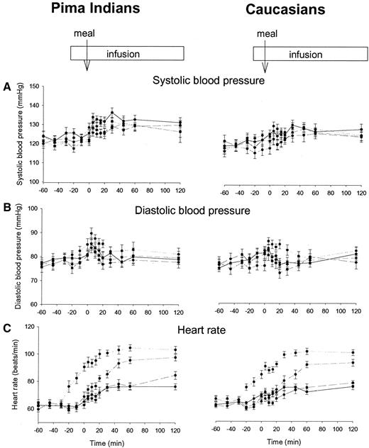 FIG. 5. Time course of systolic and diastolic blood pressure and heart rate with SEs during the four interventions (atropine studies [AR]), i.e., AR1 study (placebo, full line), AR2 (dose 2.5 μg · kg FFM−1 · h−1, dashed line), AR3 (dose 5 μg · kg FFM−1 · h−1, dotted dashed line), and AR4 (dose 10 μg · kg FFM−1 · h−1, dotted line).