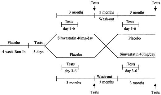 FIG. 1. Scheme of the simvastatin trial.