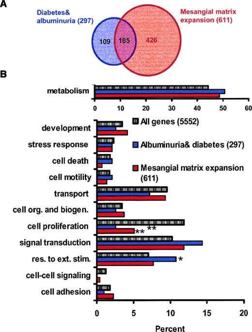 FIG. 2. Differentially expressed genes based on phenotypic manifestation. A: Genes that are differentially regulated in animals with diabetes and albuminuria (blue circle) and in animals with mesangial matrix expansion (red circle) and their overlap. B: Differentially expressed genes identified in each phenotypic outcome group were annotated with their biological function by GenCarta (Compugen) database. The distribution of genes in each gene ontology group and the normal distribution is shown. *P < 0.05 and **P < 0.01.