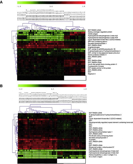 FIG. 3. Genes with the highest discriminative value to classify phenotypic outcome in mice. Hierarchical cluster analysis of the top 25 genes that can classify animals based on diabetes (A) and mesangial matrix expansion (B). All data were mean centered, natural log transformed, and clustered using Manhattan distance and complete linkage. Red squares: overrepresented transcripts compared with the reference sample. Green squares: underrepresented transcripts (compared with the reference RNA). Gray, missing data values. Animals with mesangial matrix expansion (B) are shown with a black bar and control animals with a white bar. Animals with diabetes (A) are represented with a black bar and control animals with a white bar.