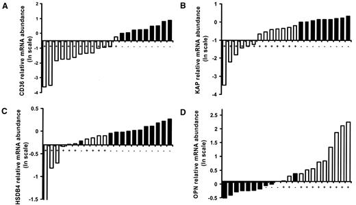 FIG. 5. Phenotype can be predicted in new samples based on gene expression profile. The relative expression of CD36 (A), KAP (B), HSD3B4 (C), and OPN (D) is shown in 22 mice not included in the microarray analysis. Each bar represents the relative gene expression in one animal. A and B: white bars (+) represent animals with diabetes and black bars represent control animals (-). C and D: white bars (+) represent animals with mesangial matrix expansion and black bars represents control mice (-). The x-axis crosses the y-axis at the relative expression value that was derived from the ROC analysis (see text and Fig. 4 for details).
