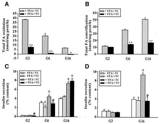 FIG. 6. The ACS inhibitor triacsin C markedly alters fatty acid partitioning in INS(832/13) cells and abolishes FFA augmentation of insulin secretion to intermediate glucose in this INS cell clone and to high glucose in isolated rat islets. Total FFA oxidation (from palmitate and oleate to CO2 and ASP) (A) and total esterification (from palmitate and oleate) into complex lipids (B) were measured in INS(832/13) cells as described in research design and methods. Cells were preincubated for 2 h in KRBH at 2 mmol/l glucose containing 0.5% BSA with or without 10 μmol/l triacsin C (TC) and incubated in the same media with the labeled and cold fatty acid mix for 1 h at 2 (G2), 6 (G6), and 16 mmol/l (G16) glucose. Data are means ± SE of three determinations. *P < 0.01 and **P < 0.001 vs. same condition without triacsin C. INS(832/13) cells (C) and isolated rat islets (D) were preincubated for 2 h in KRBH at 2 mmol/l (cells) or 3 mmol/l (islets) glucose containing 0.5% BSA with or without 10 μmol/l triacsin C and incubated in the same media with or without 0.25 mmol/l palmitate/oleate (1:1) at 2, 6, and 16 mmol/l glucose (cells) or 3 (G3) and 16 mmol/l glucose (islets). Data are means ± SE of nine determinations in three separate experiments (cells) and four determinations (islets). †P <0.05, at least, for same condition without FFA, without triacsin C; #P < 0.001 vs. same condition with FFA, without triacsin C.