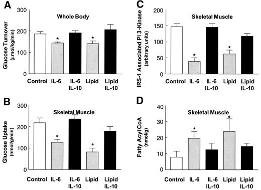 FIG. 1. Whole-body and skeletal muscle insulin action and fatty acyl-CoA levels in the control, IL-6, IL-6/IL-10, lipid, and lipid/IL-10 mice. A: Insulin-stimulated whole-body glucose turnover in vivo. B: Insulin-stimulated glucose uptake in skeletal muscle (gastrocnemius) in vivo. C: Insulin-stimulated IRS-1–associated PI 3-kinase activity in skeletal muscle (gastrocnemius). D: Intramuscular (quadriceps) fatty acyl-CoA levels. Values are means ± SE for five to eight experiments. *P < 0.05 vs. control mice.