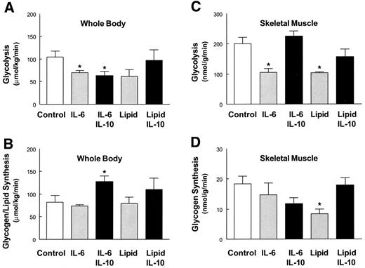 FIG. 2. Insulin-stimulated whole-body and skeletal muscle (gastrocnemius) glucose metabolic flux in the control, IL-6, IL-6/IL-10, lipid, and lipid/IL-10 mice. A: Insulin-stimulated whole-body glycolysis. B: Insulin-stimulated whole-body glycogen/lipid synthesis. C: Insulin-stimulated skeletal muscle glycolysis. D: Insulin-stimulated skeletal muscle glycogen synthesis. Values are means ± SE for five to eight experiments. *P < 0.05 vs. control mice.