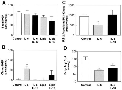 FIG. 4. Hepatic insulin action and fatty acyl-CoA levels in the control, IL-6, IL-6/IL-10, lipid, and lipid/IL-10 mice. A: Basal HGP. B: Clamp HGP. C: Insulin-stimulated IRS-2–associated PI 3-kinase activity in liver. D: Intrahepatic fatty acyl-CoA levels. Values are means ± SE for five to eight experiments. *P < 0.05 vs. control mice.