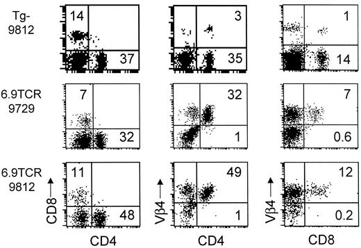 FIG. 1. T-cells from 6.9TCR mice express Vβ4. Three-color flow cytometry of peripheral blood T-cells from 6.9TCR mice (9729 or 9812 line) showed that they belong primarily to the CD4 lineage. Vβ4 was expressed on >95% of all T-cells from trans-genic mice in contrast to 6–8% in nontransgenic littermates (Tg−). Percentages are indicated within quadrants of interest, and quadrant boundaries were based on parallel single-color control samples (data not shown).