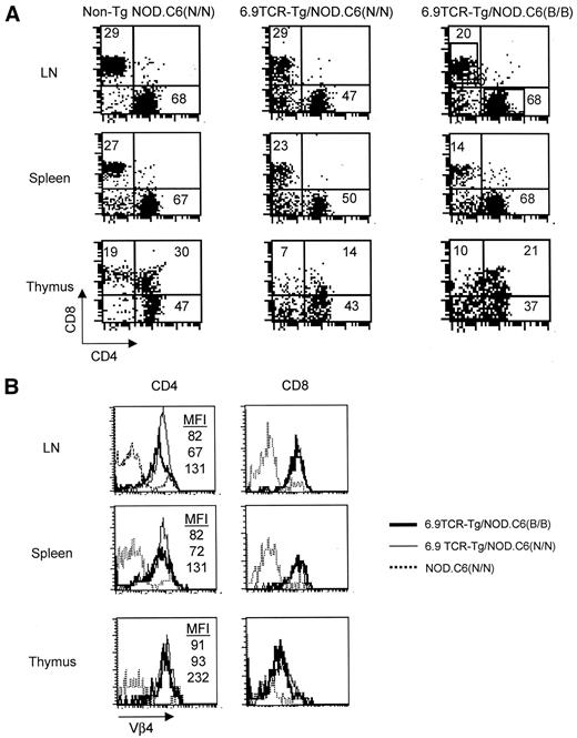 FIG. 5. Inheritance of NOD alleles on chromosome 6 (61.4–71.1 cM) does not affect Vβ4 expression on T-cells but does affect diabetes incidence. A and B: Three-color flow cytometry of splenic, lymph node, and thymic T-cells from nontransgenic NOD.C6(N/N), 6.9TCR/NOD.C6(N/N), and 6.9TCR/NOD.C6(B/B) mice (average age, 7.5 ± 1.9 weeks old) showed that Vβ4 was expressed on >95% of all T-cells from transgenic mice. Both the dot plots and the histograms were gated on CD3-positive cells. Percentages indicated within quadrants are from individual representative mice. At least three separate experiments were performed (n = 3–6 mice per genotype). Data for each set of tissues shown are from a single mouse per genotype. Mean channel fluorescence (MFI) is indicated for Vβ4-expressing CD4 cells within the relevant histograms in the following order (top to bottom): 6.9TCR/NOD.C6(B/B), 6.9TCR/NOD.C6(N/N), and nontransgenic NOD.C6(N/N). C: Diabetes onset was determined by monitoring blood glucose levels among female 6.9TCR/NOD.C6(N/N) (n = 12), 6.9TCR/NOD.C6(N/B) (n = 19), 6.9TCR/NOD.C6(B/B/) (n = 14), and nontransgenic NOD.C6(N/N) (n = 18) littermates. Kaplan-Meier plots show the percentage of mice remaining euglycemic over time. Statistically significant differences were observed using the Mantel-Cox log-rank test for comparisons made between nontransgenic NOD.C6(N/N) mice and 6.9TCR/NOD.C6(B/B) or 6.9TCR/NOD.C6(N/B) mice. D: Similar analyses were performed with male 6.9TCR/NOD.C6(N/N) (n = 7), 6.9TCR/NOD.C6(N/B) (n = 33), 6.9TCR/NOD.C6(B/B) (n = 19), and nontransgenic NOD.C6(N/N) (n = 14) littermate mice. E and F: All transgene-negative mice exhibited disease incidence profiles similar to those observed with the nontransgenic NOD.C6(N/N) mice shown in C and D. Additional mouse genotypes shown here include NOD.C6(N/B) (n = 40 females and 20 males) and NOD.C6(B/B) (n = 14 females and 18 males).