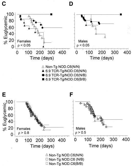 FIG. 5. Inheritance of NOD alleles on chromosome 6 (61.4–71.1 cM) does not affect Vβ4 expression on T-cells but does affect diabetes incidence. A and B: Three-color flow cytometry of splenic, lymph node, and thymic T-cells from nontransgenic NOD.C6(N/N), 6.9TCR/NOD.C6(N/N), and 6.9TCR/NOD.C6(B/B) mice (average age, 7.5 ± 1.9 weeks old) showed that Vβ4 was expressed on >95% of all T-cells from transgenic mice. Both the dot plots and the histograms were gated on CD3-positive cells. Percentages indicated within quadrants are from individual representative mice. At least three separate experiments were performed (n = 3–6 mice per genotype). Data for each set of tissues shown are from a single mouse per genotype. Mean channel fluorescence (MFI) is indicated for Vβ4-expressing CD4 cells within the relevant histograms in the following order (top to bottom): 6.9TCR/NOD.C6(B/B), 6.9TCR/NOD.C6(N/N), and nontransgenic NOD.C6(N/N). C: Diabetes onset was determined by monitoring blood glucose levels among female 6.9TCR/NOD.C6(N/N) (n = 12), 6.9TCR/NOD.C6(N/B) (n = 19), 6.9TCR/NOD.C6(B/B/) (n = 14), and nontransgenic NOD.C6(N/N) (n = 18) littermates. Kaplan-Meier plots show the percentage of mice remaining euglycemic over time. Statistically significant differences were observed using the Mantel-Cox log-rank test for comparisons made between nontransgenic NOD.C6(N/N) mice and 6.9TCR/NOD.C6(B/B) or 6.9TCR/NOD.C6(N/B) mice. D: Similar analyses were performed with male 6.9TCR/NOD.C6(N/N) (n = 7), 6.9TCR/NOD.C6(N/B) (n = 33), 6.9TCR/NOD.C6(B/B) (n = 19), and nontransgenic NOD.C6(N/N) (n = 14) littermate mice. E and F: All transgene-negative mice exhibited disease incidence profiles similar to those observed with the nontransgenic NOD.C6(N/N) mice shown in C and D. Additional mouse genotypes shown here include NOD.C6(N/B) (n = 40 females and 20 males) and NOD.C6(B/B) (n = 14 females and 18 males).