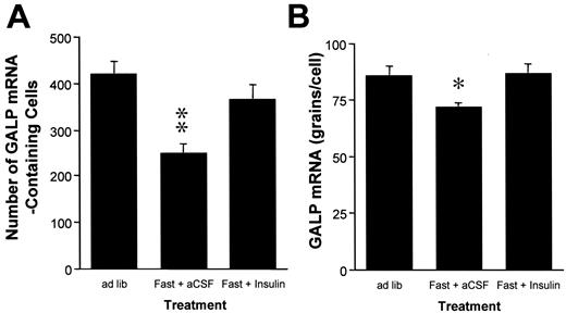 FIG. 3. Effect of ICV insulin on GALP mRNA expression in 48-h-fasted rats. Fasting is associated with a reduction in the number of identifiable cells expressing GALP mRNA and ICV insulin administration reverses this effect (A). Fasting is also associated with a significant reduction in the cellular content of GALP mRNA as reflected by the per-cell grain counts, which was reversed with ICV insulin treatment (B) (*P < 0.05, **P < 0.001 vs. ad libitum-fed controls).