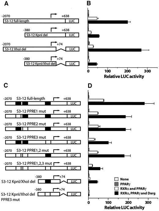 FIG. 4. Mapping of the PPAR-γ responsive region in the S3-12 and perilipin promoters. A: A schematic presentation of S3-12 reporter constructs. B: Transient transfection into COS-1. Cells were cotransfected with none (light gray), RXR-α (dark gray), or RXR-α and PPAR-γ expression vectors (□ and ▪) and incubated in medium containing vehicle (light gray, dark gray, and □) or darglitazone (Darg; 1 μmol/l; ▪). C: Constructs containing targeted mutations of S3-12 PPREs. D: S3-12 constructs transfected into COS-1. E: Constructs containing targeted mutations of perilipin PPREs. F: Perilipin constructs transfected into COS-1. G: Binding of RXR-α/PPAR-γ to PPREs. The competition was performed using unlabeled oligonucleotides as competitors in 10-, 20-, and 50-fold molar excess.