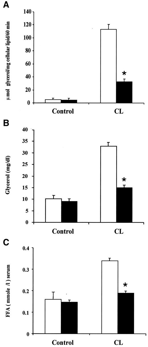 FIG. 2. Isolated caveolin-1 null adipocytes and caveolin-1 null mice both show a blunted lipolytic response to a β3 receptor agonist (CL-316,243 [CL]). A: Glycerol in vitro. Isolated adipocytes were incubated under basal or stimulated conditions, and free glycerol levels were determined. Note that glycerol levels rise nearly ∼30-fold in stimulated wild-type adipocytes, but only about sixfold in caveolin-1 null cells. B and C: Wild-type and caveolin-1 null mice show similar serum glycerol (B) and NEFA (C) levels at baseline. After CL-316,243 treatment, glycerol levels rise ∼3.5-fold in wild-type mice (P < 0.01), but they do not rise significantly in caveolin-1 null mice (P = 0.057). Similarly, after CL-316,243 treatment of wild-type mice, NEFA levels rise approximately twofold (P < 0.01), whereas in caveolin-1 null mice, they do not differ significantly from baseline (P = 0.79). In A, B, and C, the values represent the means ± SE. *P < 0.01 for caveolin-1 null vs. wild type with CL-316,243 treatment. □, wild type; ▪, caveolin-1 knockout.