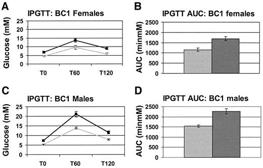 FIG. 1. IPGTT results for first backcross (BC1) GENA348 mice. All data are from 12-week-old mice. Light gray lines or shaded gray bars are wild-type mice (10 females and 18 males), and shaded black bars or lines are heterozygous (13 females and 17 males) mutants. Data are presented as mean ± SE. A and B: BC1 female. C and D: BC1 male. AUC, area under the IPGTT curve. To assess the effect of sex and genotype on glucose tolerance between subjects, we performed repeated-measures ANOVA with between-subjects factors by use of the repeated-measures GLM procedure in SPSS. Type III sums of squares were computed for all terms incorporated in the model. Within-subjects factor “plasma glucose” incorporated correlated measurements IPGTT T0, T60, and T120 plasma glucose. Between-subjects factors were sex and genotype at the Gck gene locus. We observed significant effects of sex and genotype (P < 0.0001) on plasma glucose but no significant interaction between factors. We stratified the data by sex and genotype, then performed post hoc multiple comparisons between group means by use of Bonferroni multiple comparison tests (α = 0.05). We observed male heterozygote (2, 3, and 4), male wild-type homozygote (1), female heterozygote (1 and 4), and female wild-type homozygote (1 and 3), where 1 is P value significantly different from male heterozygote, 2 is P value significantly different from male wild-type homozygote, 3 is P value significantly different from female heterozygote, and 4 is P value significantly different from female wild-type homozygote.