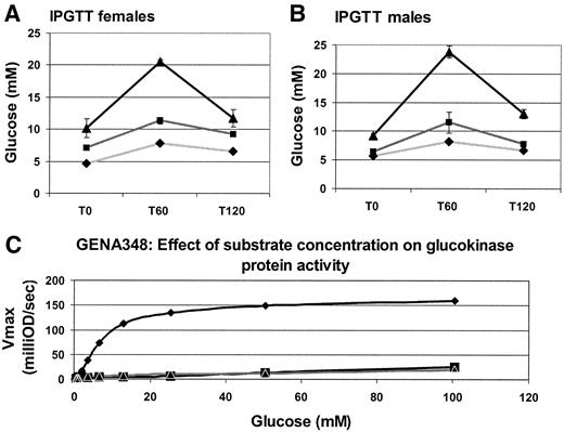 FIG. 4. Effect of homozygosity of the GENA348 I366F mutation in 12-week-old mice. A and B: IPGTT at T0, T60, and T120 in female and male mice, respectively. All data are from 12-week-old mice, presented as mean ± SE. Numbers of mice represented are intercross wild-type (light gray lines and ⧫, one female and one male), intercross heterozygous mutants (dark gray lines and ▪, four females and three males), and intercross homozygous mutants (black lines and ▴, three females and four males). C: Effect of substrate concentration on Gck activity in wild-type (diamonds) and homozygous mutant (squares and triangles) 12-week male mice, Vmax Gck/mg protein.
