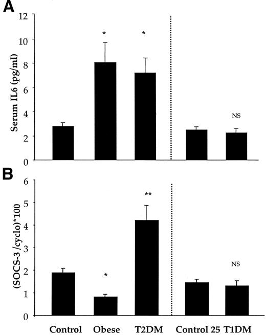 FIG. 3. Serum IL-6 levels and SOCS-3 mRNA levels in skeletal muscle of the different groups of subjects. A: Fasted serum IL-6 levels of healthy control (Control and Control 25), nondiabetic obese (Obese), type 2 diabetic (T2DM), and type 1 diabetic (T1DM) subjects were determined by enzyme-linked immunosorbent assay. The number of subjects in each group is indicated in research design and methods. Data represent means ± SE. *P < 0.005 vs. control subjects. B: SOCS-3 mRNA levels were quantified by real-time RT-PCR in total RNA preparations from vastus lateralis skeletal muscle biopsies in healthy control, nondiabetic obese, type 2 diabetic, and type 1 diabetic subjects. Results are expressed as the percent of cyclophilin (cyclo) mRNA. Data represent means ± SE. *P < 0.01; **P < 0.0001.