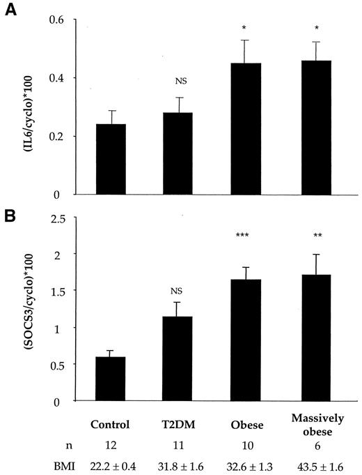 FIG. 6. Expression of SOCS-3 and IL-6 mRNAs in human adipose tissue. A: mRNA levels of IL-6 were measured by real-time PCR in subcutaneous adipose tissue of healthy control, type 2 diabetic, and obese nondiabetic subjects. B: mRNA levels of SOCS-3 were measured by real-time PCR in subcutaneous adipose tissue of healthy control, type 2 diabetic, and obese nondiabetic subjects. The number of subjects in each group is indicated; data represent means ± SE. *P < 0.05; **P < 0.005; ***P < 0.0005. cyclo, cyclophilin; T2DM, type 2 diabetic subjects.