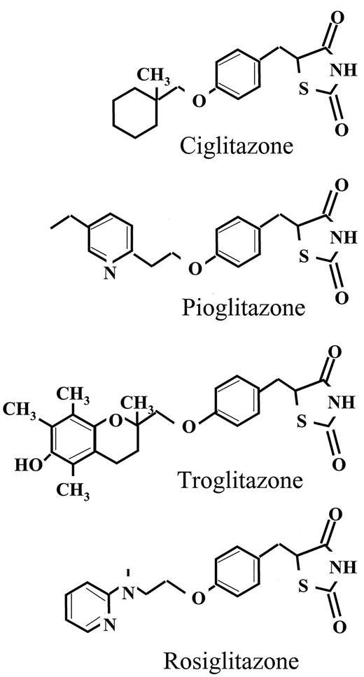 FIG. 2. PPAR-γ ligands of the thiazolidinedione family. Pioglitazone and rosiglitazone are presently used in type 2 diabetes as oral antidiabetic drugs.