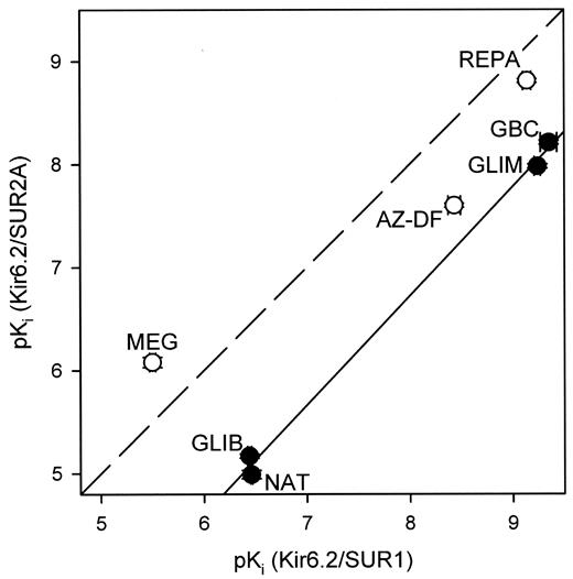 FIG. 4. Comparison of the affinities (pKi values) of secretagogue binding to Kir6.2/SUR1 and Kir6.2/SUR2A channels. Data are from Table 1. The broken line represents the line of identity (no selectivity); the solid line gives the correlation line for the four compounds binding to sites A (glibornuride [GLIB] and nateglinide [NAT]) and A+B (glibenclamide [GBC] and glimepiride [GLIM]) (•). The correlation line (r = 0.999) had a slope of 1.06 ± 0.04 and a mean distance of d = −1.29 ± 0.07 from the line of identity. Pure type B ligands are represented by the open circles (○).