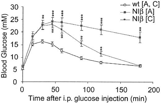 FIG. 3. NIβ mice are glucose intolerant. Founder lines A and C show impaired glucose tolerance. For clarity, the average value of wild-type (wt) littermates to founders A and C is plotted. wt-A: n = 8; wt-C: n = 7; NIβ line A, n = 12; NIβ line C: n = 10. Data are average values ± SE. **P < 0.01; ***P < 0.001.