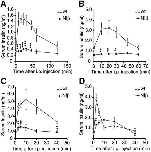 FIG. 4. Impaired insulin secretion in NIβ mice. Serum insulin levels were determined in fasted (A and B) or nonfasted (C and D) wild-type (wt) and NIβ mice after intraperitoneal injection of glucose (A) (wild type: n = 5; NIβ: n = 7), glybenclamide (B) (wild type: n = 8; NIβ: n = 7), carbachol (C) (wild type: n = 4; NIβ: n = 4), and arginine (D) (wild type: n = 6; NIβ: n = 6). Data are average values ± SE. **P < 0.01; ***P < 0.001.