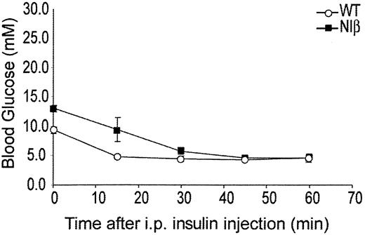 FIG. 6. Normal insulin sensitivity in NIβ mice. Blood glucose levels were monitored in nonfasted mice after intraperitoneal injection of insulin. After 30 min, blood glucose levels were significantly reduced in both wild-type (WT) and NIβ mice (P < 0.05, n = 4).