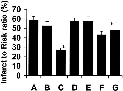 FIG. 4. In vitro myocardial infarct size expressed as a percentage of the risk zone. A: Control (n = 9); B: VP (n = 10); C: GLP-1 (n = 13); D: exendin (9-39) and GLP-1 (n = 6); E: Rp-cAMP and GLP-1 (n = 6); F: LY294002 and GLP-1 (n = 6); and G: UO126 and GLP-1 (n = 6). Results are presented as means ± SE (*P < 0.001 vs. all other groups).