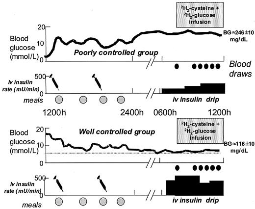 FIG. 1. Protocol for the determination of cysteine and glutathione kinetics in adolescents with type 1 diabetes. A similar protocol (without any insulin infusion) was carried out in the nondiabetic control subjects. BG, blood glucose; iv, intravenous.