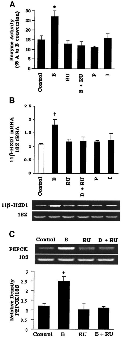 FIG. 4. Effects of corticosterone on the expression of 11β-HSD1 activities (A) and mRNA levels (B) and PEPCK mRNA expression (C) in primary cultures of hepatocytes from db/db mice. A: Enzyme activity expressed as percentage conversion of [3H]A to [3H]B. B and C: Expression and relative quantifications of 11β-HSD1 and PEPCK mRNA levels were determined by semiquantitative RT-PCR and are expressed relative to the amount of 18S rRNA. Hepatocytes were incubated in media with indicated concentrations of corticosterone (10−6 mol/l), RU486 (10−6 mol/l), progesterone (10−7 mol/l), and insulin (10−5 mol/l) for 72 h. Values are the means ± SE from three to four separate culture preparations. *P < 0.01 vs. controls; †P < 0.001 vs. controls.