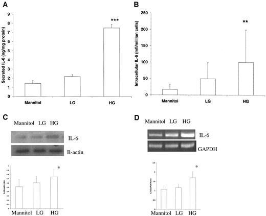 FIG. 1. Effect of hyperglycemia on IL-6 release from THP-1 cells. Cells were cultured in 5.5 mmol/l (LG) and 15 mmol/l (HG) glucose, and IL-6 release was measured as described in research design and methods. As a control, 9.5 mmol/l mannitol was added with normal glucose in simultaneous wells (n = 5). A: Secreted IL-6 by enzyme-linked immunosorbent assay. B: Intracellular IL-6 by flow cytometry. C: Western blot for IL-6 using β-actin as control. D: RT-PCR for IL-6 using glyceraldehyde-3-phosphate dehydrogenase (GADPH) as control. Data are means ± SD, and asterisks denote significant differences: *P < 0.05, **P < 0.01, ***P < 0.001 compared with normal glucose.