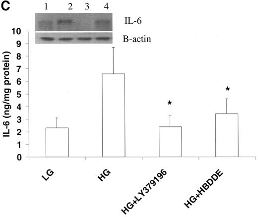 FIG. 2. Effect of PKC inhibitors on IL-6 release (A) and IL-6 protein by Western blot (B) from THP-1 cells. C: Cells were cultured in the presence and absence of a PKC-α/β inhibitor (HBDDE, 50 μmol/l) and the PKC-β2 inhibitor LY379196 (30 nmol/l), as described in research design and methods (n = 4). Data are expressed as the means ± SD, and asterisks denote significant differences: *P < 0.05 compared with high glucose; **P < 0.01 compared with high glucose; ***P < 0.001 compared with normal glucose. BIM, bisindoleyl maleimide; Cal C, calphostin C; HG, high glucose; LG, low glucose.