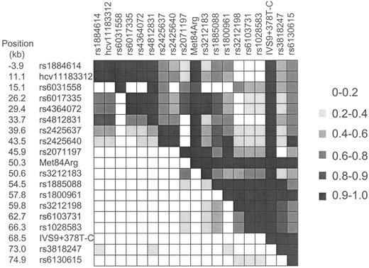 FIG. 2. Pairwise linkage disequilibrium among SNPs in the HNF4α region in Pima Indians. Values in the upper right represent D′, while values in the bottom left represent Δ2. Genotypes of 19 SNPs from 1,037 individuals typed for the diabetes association analysis were used to determine the pairwise linkage disequilibrium.