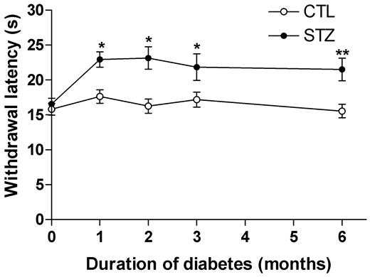 FIG. 4. The histogram showing that the heat-induced pain thresholds (withdrawal latencies) were delayed after 1, 2, 3, and 6 months of diabetes. n = ∼15–20 for both diabetic and nondiabetic groups. CTL, control; STZ, streptozotocin-induced diabetic mice. *P < 0.05, **P < 0.01 by Student’s t test.