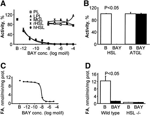 FIG. 1. Selectivity of BAY for inhibition of HSL. A: Concentration-response inhibition by BAY of purified human HSL (hHSL) or rat HSL (rHSL), pancreatic lipase (PL), lipoprotein lipase (LPL), and monoglyceride lipase (MGL) enzymatic activities (n = 3). B: BAY (10−6 mol/l) inhibition of triglyceride hydrolase activity in Cos7 cells expressing human HSL or human ATGL (n = 3). C: Concentration-response inhibition by BAY of mouse adipose tissue extract triglyceride hydrolase activity (n = 3). D: BAY (10−6 mol/l) inhibition of triglyceride hydrolase activity in wild-type and HSL-null mouse adipose tissue extracts (n = 4).