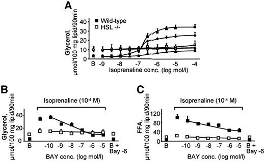 FIG. 2. Lipolysis in isolated adipocytes from wild-type and HSL-null mice. A: Glycerol release (n = 5). Concentration-response curves of isoprenaline were performed without BAY (squares), with 10−8 mol/l BAY (diamonds), or with 10−6 mol/l BAY (triangles). B: Glycerol release (n = 3). Concentration-response inhibition of BAY was measured on lipolysis induced by 10−4 mol/l isoprenaline. C: FFA release (n = 3). Concentration-response inhibition of BAY was measured on lipolysis induced by 10−4 mol/l isoprenaline.