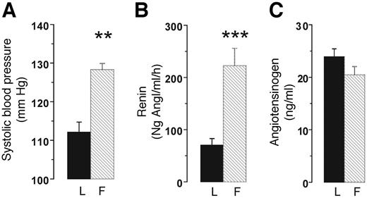 FIG. 2. Blood pressure and renin-angiotensin system activation in Lean and Fat mice. Panels show systolic blood pressure (A), plasma renin (B), and plasma angiotensinogen (C) in Lean (L) and Fat (F) mice. Data are the means ± SE. **P < 0.01, ***P < 0.001 for differences between lines. Ng Ang, nanograms of angiotensin 1.