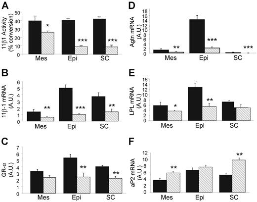 FIG. 3. Indexes of glucocorticoid action in adipose tissues of Lean and Fat mice. Panels show adipose depot–specific 11β-HSD-1 enzyme activity (A) and mRNA expression of 11β-HSD-1 (B), glucocorticoid receptor (GR-α) (C), angiotensinogen (Agtn) (D), lipoprotein lipase (LPL) (E), and fatty acid binding protein (adipocyte protein 2 [aP2]) (F) in Lean and Fat mice. RNA was extracted, subjected to Northern blotting, and quantified as described in research design and methods. Data are the means ± SE. *P < 0.05, **P < 0.01, ***P < 0.001 for differences between lines. ▪, Lean mice; , Fat mice. A.U., arbitrary units; Mes, mesenteric; Epi, epididymal; SC, subcutaneous fat depots.