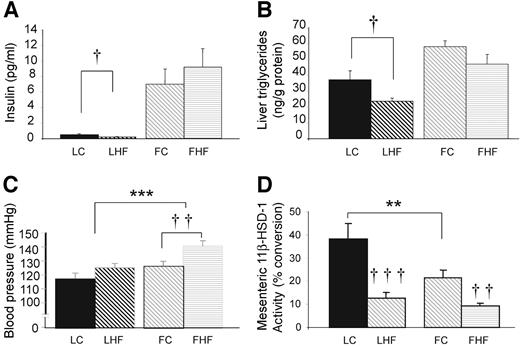 FIG. 5. The effects of high-fat feeding on metabolic parameters in Lean and Fat mice. Panels show plasma levels of insulin (A), liver triglycerides (B), blood pressure (C), and mesenteric adipose 11β-HSD-1 activity (D) in Lean mice fed control diet (LC), Lean mice fed high-fat diet (LHF), Fat mice fed control diet (FC), and Fat mice fed high-fat diet (FHF). Data are the means ± SE. †P < 0.05, ††P < 0.01, †††P < 0.001 significant effect of diet within a line. **P < 0.01, ***P < 0.001 significant difference between lines.
