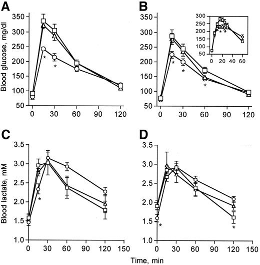 FIG. 4. Glucose tolerance in mice on a standard diet. Five-month-old male (A, C) or female (B, D) wild-type (□), heterozygotic (▵), and MGSKO (○) mice were subjected to a GTT and blood glucose (A, B) and lactate (C, D) levels were monitored. Inset: GTT with increased frequency of blood glucose sampling. Area under the curve calculations yielded 11.7 ± 0.8 wild type, 9.7 ± 0.7 heterozygous null, 9.1 ± 0.7 MGSKO arbitrary units (P = 0.025 for female wild type vs. MGSKO). For male mice, similar calculations yielded 13.9 ± 0.6 wild type, 13.3 ± 0.5 heterozygous null, 10.9 ± 1.1 MGSKO arbitrary units (P = 0.03 for wild type vs. MGSKO). n = 10, *P < 0.05 compared with wild type.