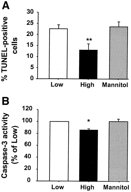 FIG. 1. A: Effect of high glucose concentration on apoptosis in VSMCs. TUNEL-positive cells were quantified using a laser scanning cytometer. Data are expressed as means ± SE of three independent experiments. Values represent the percentage of TUNEL-positive cells relative to total cell population in the each group. In this and subsequent figures, □ represents results for cells grown in normal glucose (low), ▪ represents cells grown in high glucose (high), and represents cells exposed to mannitol (mannitol). B: Effect of high glucose concentration on caspase-3 activity in VSMCs. Data are expressed as means ± SE of three independent experiments. Values represent the percentage of caspase-3 activity of high glucose or mannitol treatment versus the normal glucose group. *P < 0.05 vs. low; **P < 0.01 vs. low.