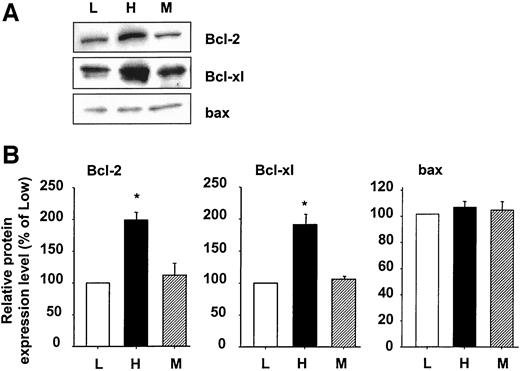 FIG. 3. Immunoblot analysis of apoptotic effectors following high glucose treatment of VSMCs. A: Effect of high glucose treatment on Bcl-2 family protein expression. For each effector, a representative immunoblot is depicted. B: Effect of high glucose treatment on Bcl-2, Bcl-xl, and bax protein expression. Data are expressed as means ± SE of three independent experiments. □, ▪, and illustrate the average relative intensity of each protein immunoblot obtained from VSMCs grown in normal glucose (L), high glucose (H), or mannitol (M). *P < 0.05 vs. low.