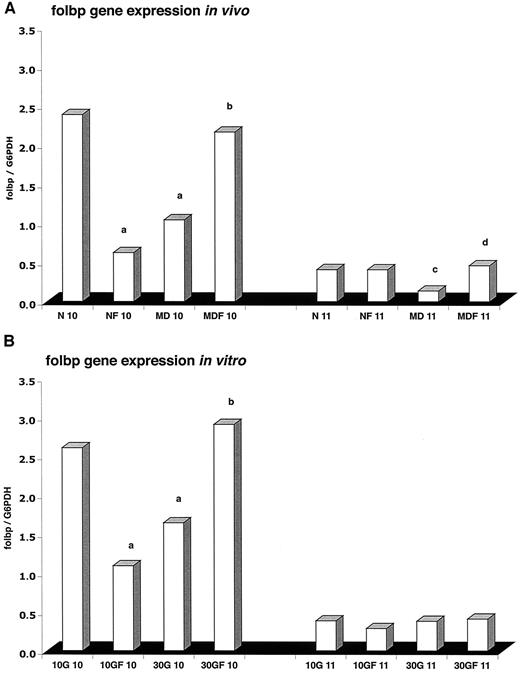 FIG. 2. A: Relative expression of folpb mRNA in embryos of normal (N) and diabetic (MD) rats on gestational day 10 and 11, some of which were supplemented with folic acid (NF and MDF). B: Folbp expression in embryos cultured in 10 or 30 mmol/l glucose (10G or 30G) for 24 h (corresponding to gestational day 10) or 48 h (corresponding to day 11) and cultured with the addition of 2 mmol/l folic acid (10GF 10, 30GF 10, 10GF 11, 30GF11). 6 ≤ n ≤ 12. aP < 0.05 vs. N 10 (A) and 10G 10 (B); bP < 0.05 vs. MD 10 (A) and 30G 10 (B); cP < 0.05 vs. N 11 (A); dP < 0.05 vs. MD 11 (A) (ANOVA).