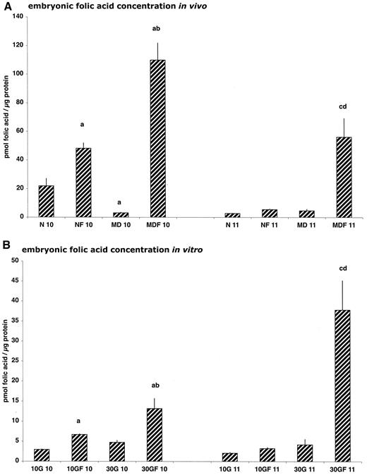 FIG. 3. A: Folic acid concentration in embryos of normal (N) and diabetic (MD) rats on gestational day 10 and 11, some of which were supplemented with folic acid (NF and MDF). B: Folic acid concentration in embryos cultured in 10 or 30 mmol/l glucose (10G or 30G) for 24 h (corresponding to gestational day 10) or 48 h (corresponding to day 11) and cultured with the addition of 2 mmol/l folic acid (10GF 10, 30GF 10, 10GF 11, 30GF11). 6 ≤ n ≤ 12. aP < 0.05 vs. N 10 (A) and 10G 10 (B); bP < 0.05 vs. MD 10 (A) and 30G 10 (B); cP < 0.05 vs. N 11 (A) and 10G 11 (B); dP < 0.05 vs. MD 11 (A) and 30G 11 (B) (ANOVA).