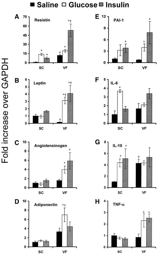 FIG. 1. Selected gene expression of adipokines during hyperglycemia and hyperinsulinemia in subcutaneous fat and visceral fat. Acute increase (5 h) in glucose and insulin infusion was achieved as described in research design and methods. Four rats from each group were studied, and subcutaneous fat and visceral fat of each rat were studied separately. *Significant difference of at least P < 0.05 vs. saline; †significant difference of at least P < 0.05 vs. same study in subcutaneous fat.