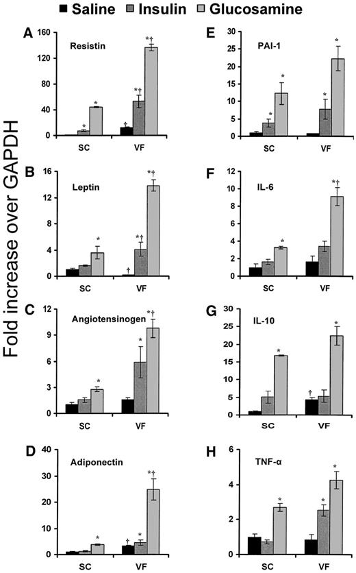 FIG. 2. Selected gene expression of cytokines during hyperinsulinemia and glucosamine infusion in subcutaneous fat and visceral fat (see research design and methods and Fig. 1).
